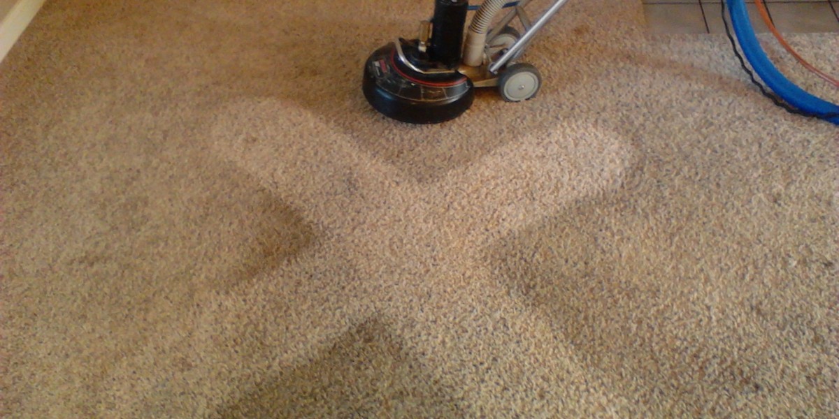 Carpet Sofa Cleaning Services: Do You Know What’s Living in Your Carpet?
