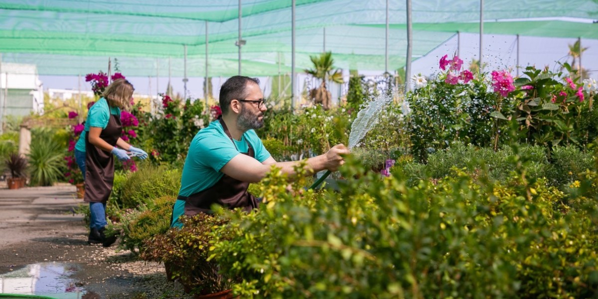 Why Professional Landscaping Services Matter for Your Lubbock Property