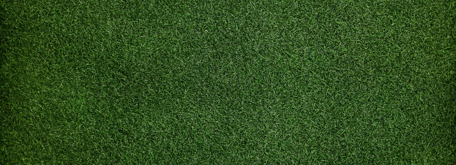 Houston Landscape Pros Cover Image