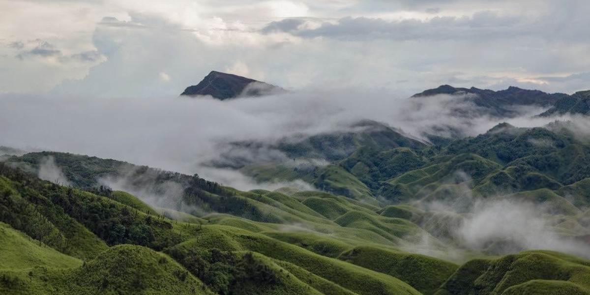 Trekking to Dzukou Valley: Heaven in Northeast India