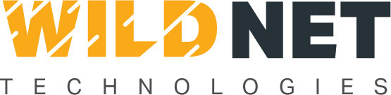 Best SEO Firm in Pune