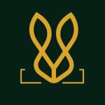 Bold Bunny Profile Picture