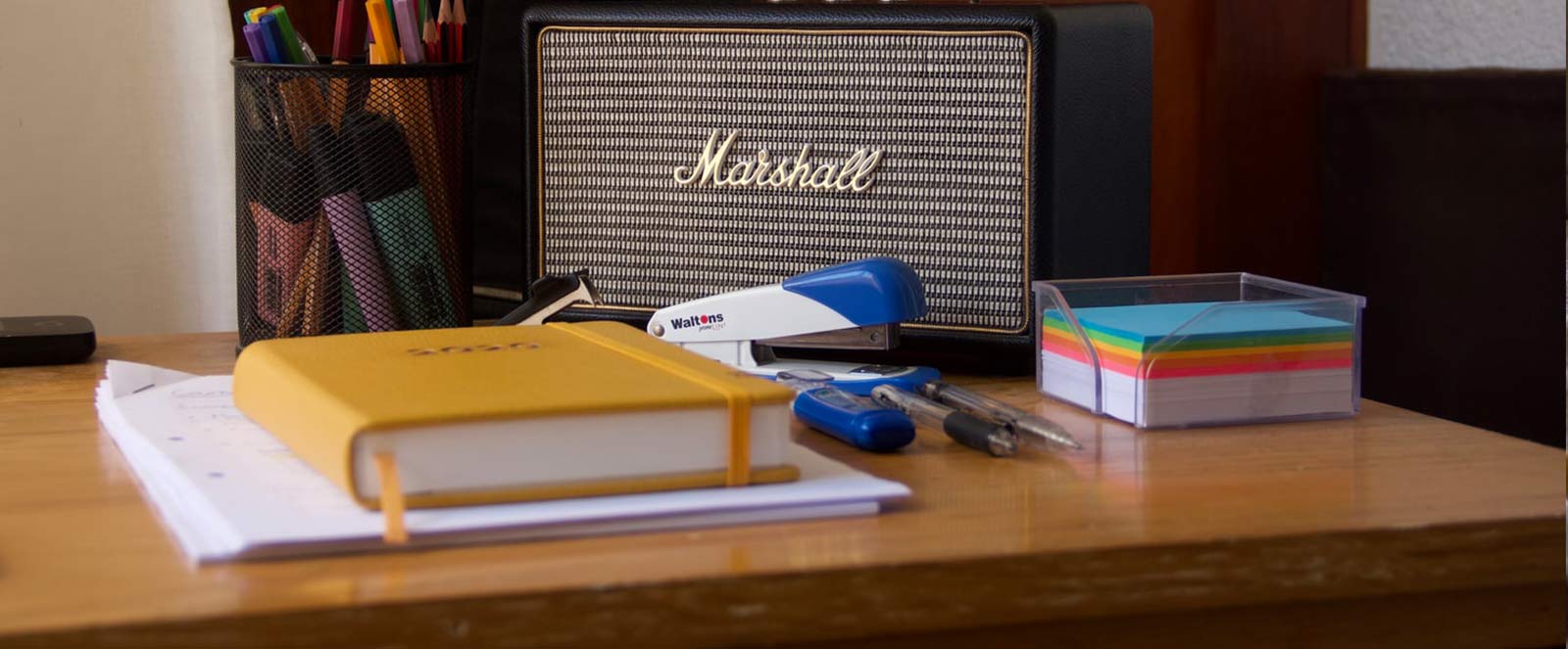 Trusted Provider MegaPersonal Accounts Online – A Complete Guide