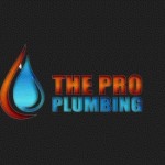 The Pro Plumbing Profile Picture