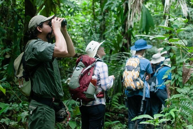 Collpa Chuncho Macaw Clay Lick Tour 9 Days – A Unique Jungle Experience – Pro Article
