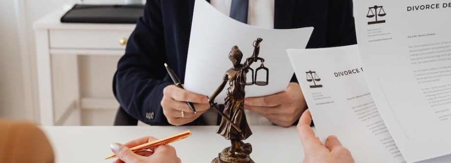 David genis law Professional corporation Cover Image