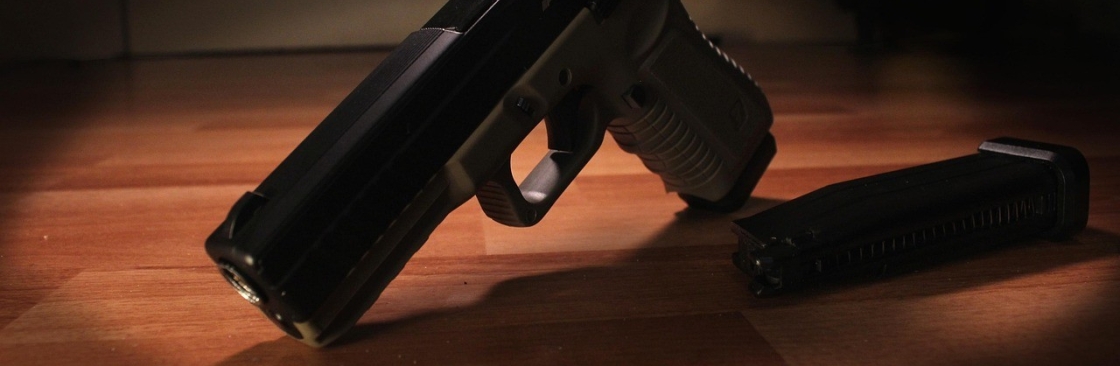 GunsAmerica Cover Image