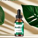 audizen store Profile Picture