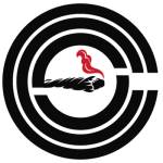 Jackson Menezes Profile Picture