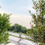 perfumica Profile Picture