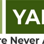 yanameals Profile Picture