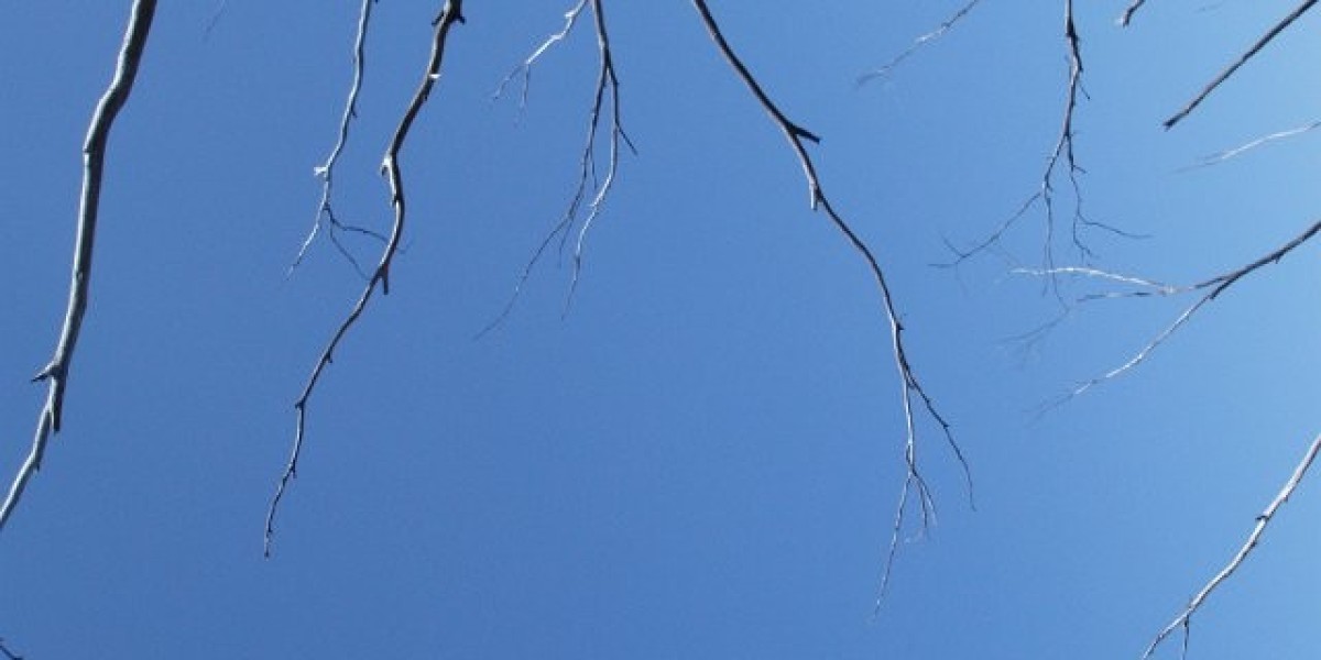 Maximizing Muscle Gains: The Ultimate CJC-1295 & Ipamorelin Dosage Cheat Sheet for Bodybuilders