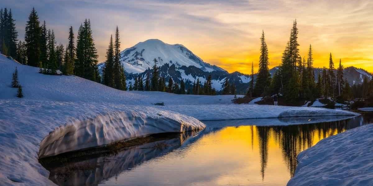 From Forest Trails to Snowy Peaks: The Magic of Kedarkantha Winter Trek