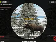 Contract Deer Hunter Profile Picture