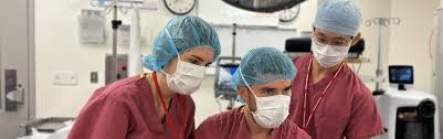 Exploring opportunities in anesthesiology jobs