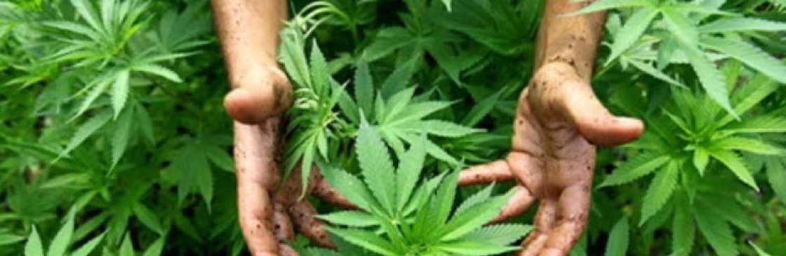 The Clone Conservatory Cover Image