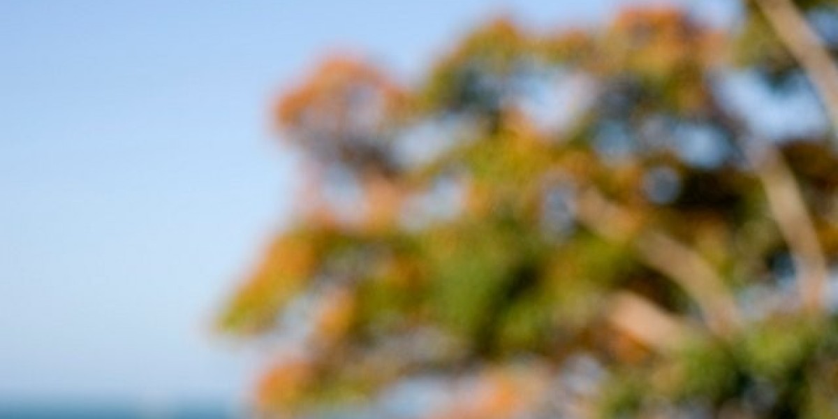 The Heart Of The Internet