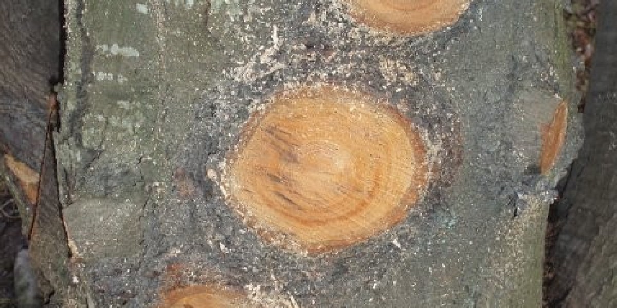 Best Muscle Growth Steroids, Cutting, Anabolic Steroids For Bodybuilding, Is Steroids Testosterone, Do Bodybuilders Use 