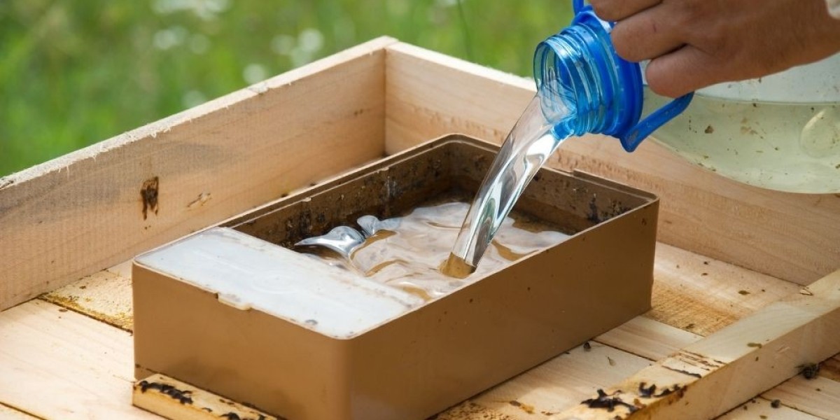 After-Harvest Recovery Plans: Beekeeping Open Or Closed Feeding