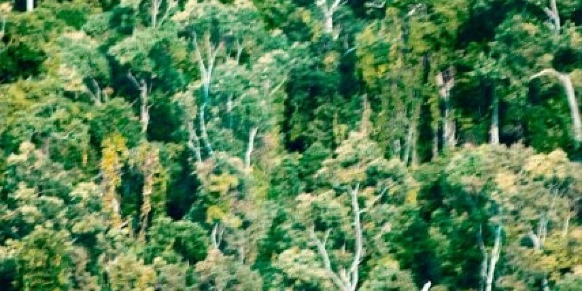 Nandrolone: Uses, Benefits & Side Effects