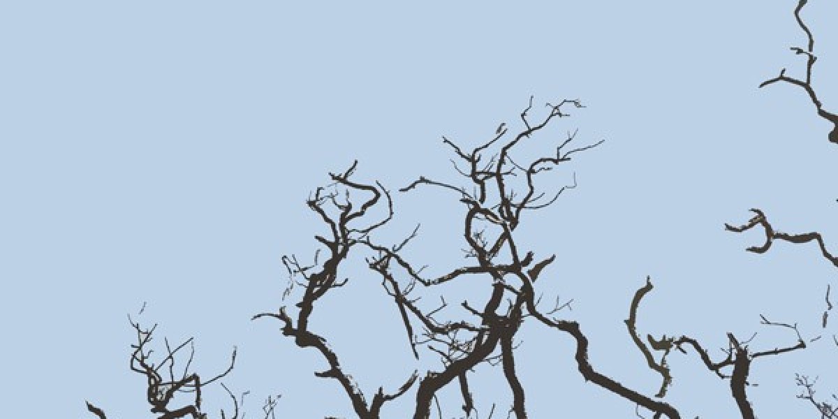 Dianabol Cycle For Perfect Results: The Preferred Steroid Of Titans