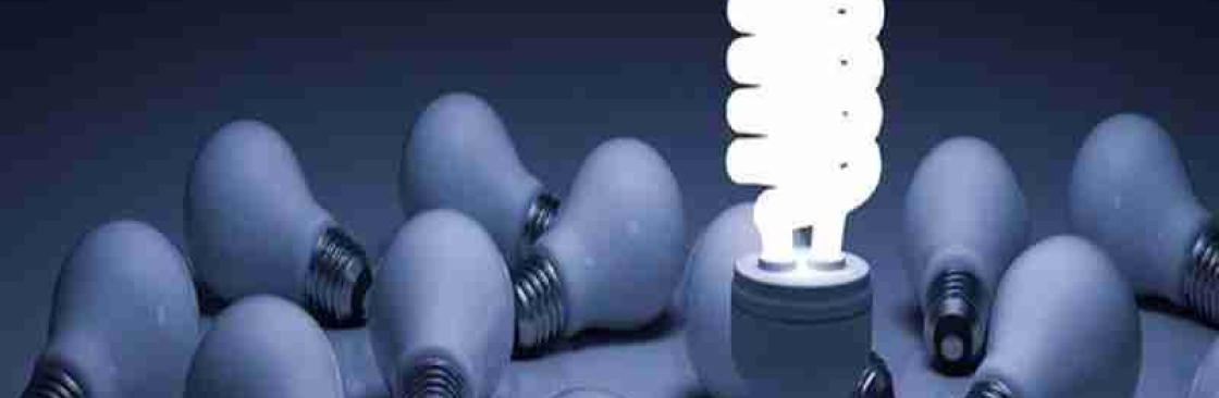 The Electrician Cover Image